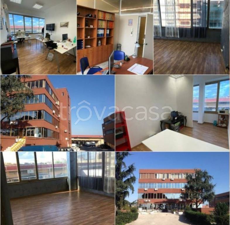 immagine annuncio 4 di 9