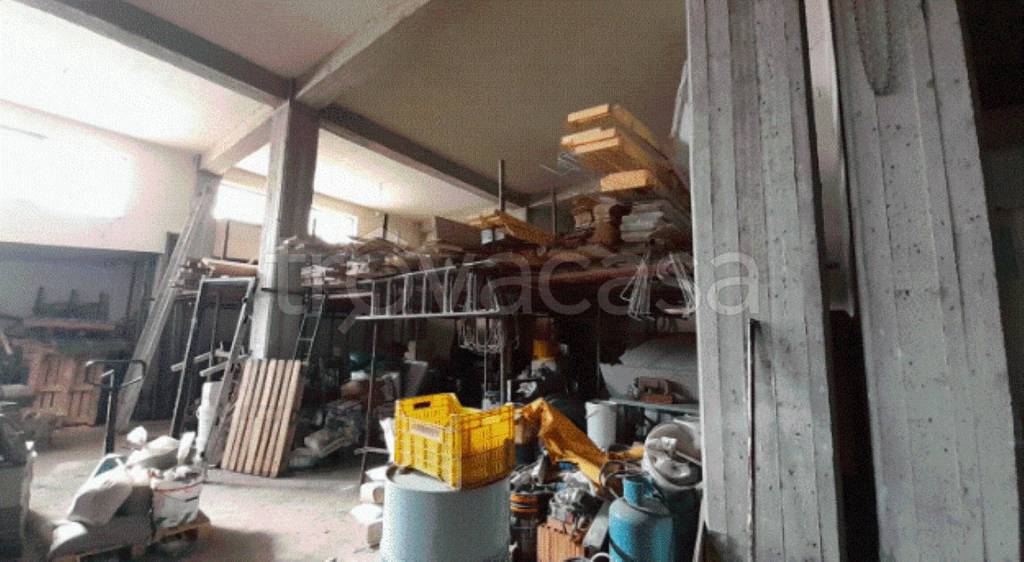 immagine annuncio 2 di 11