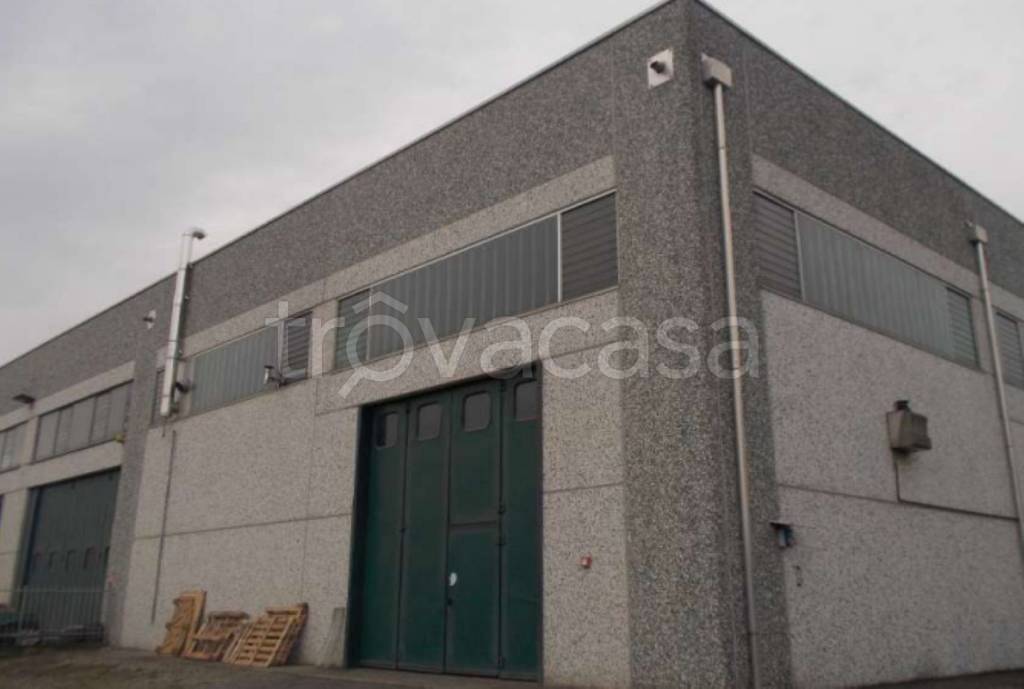 immagine annuncio 2 di 12