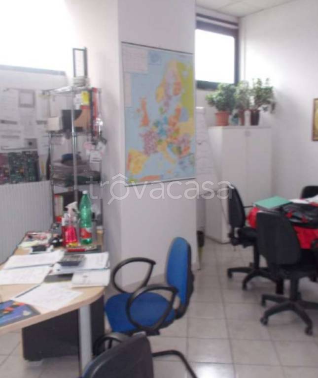 immagine annuncio 5 di 12