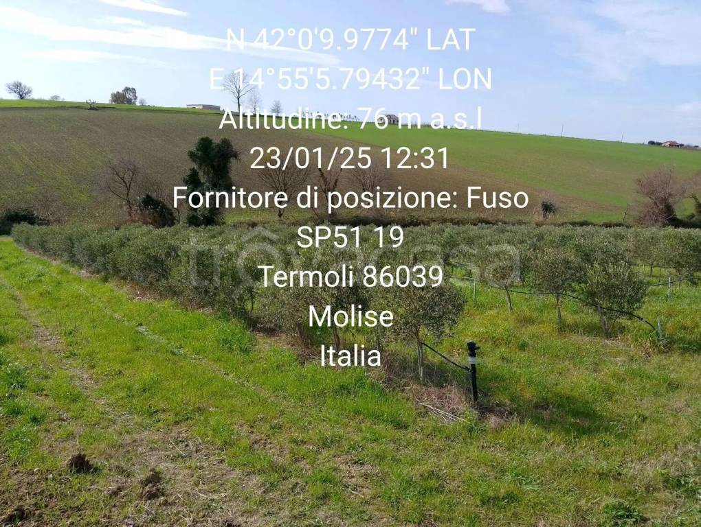 immagine annuncio 1 di 9