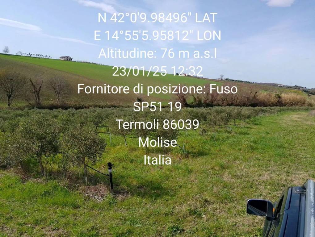 immagine annuncio 2 di 9