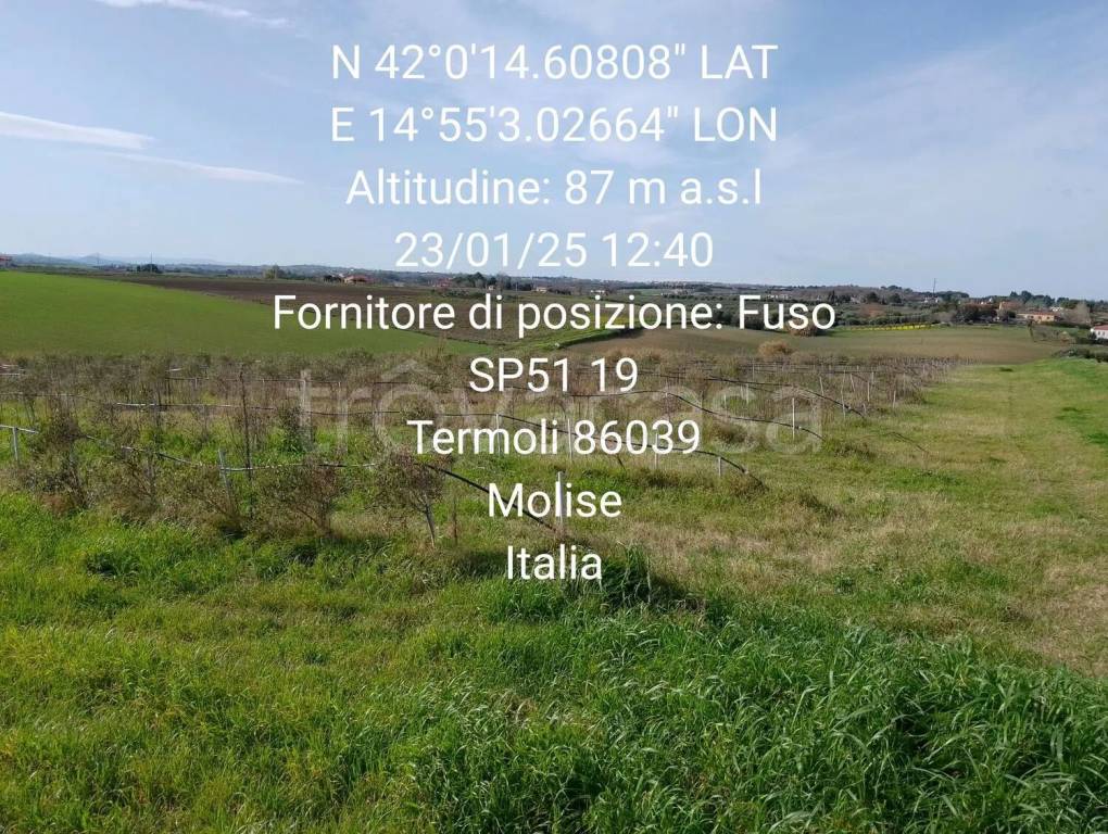 immagine annuncio 4 di 9