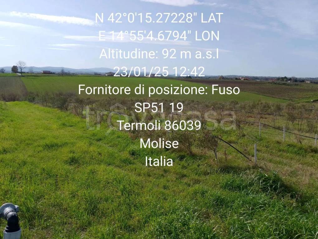 immagine annuncio 5 di 9