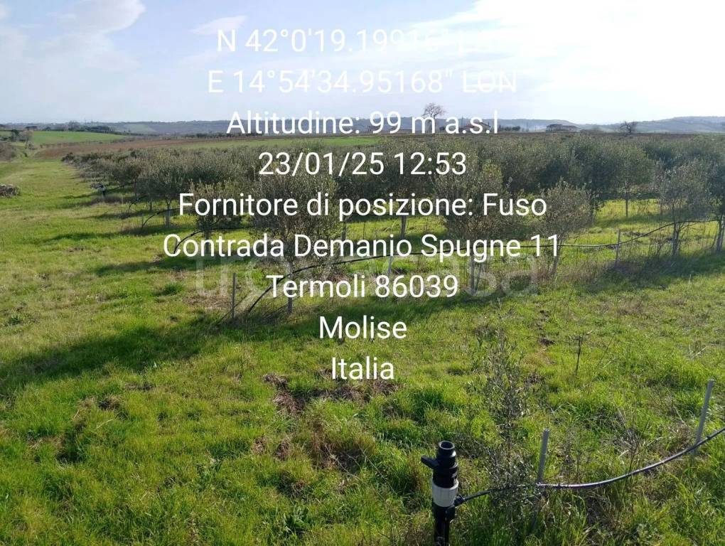 immagine annuncio 6 di 9