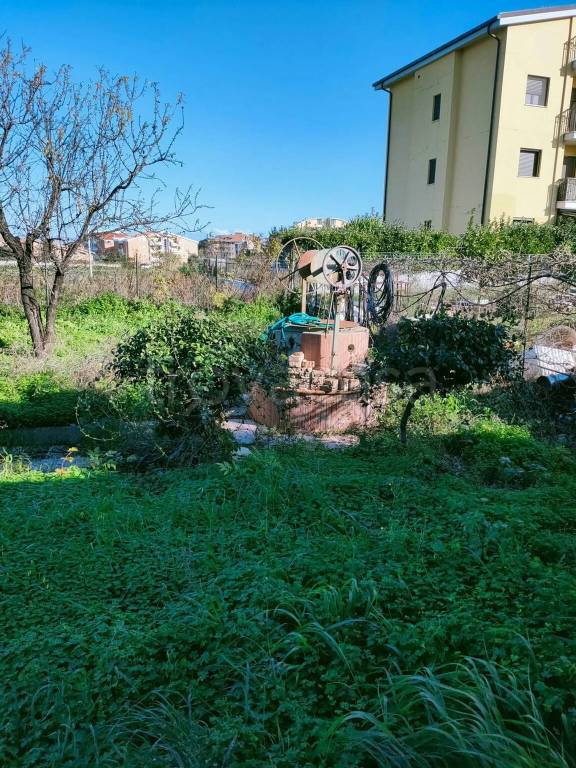 immagine annuncio 3 di 11