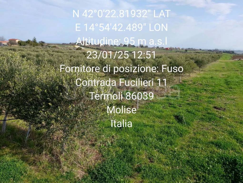 immagine annuncio 7 di 9