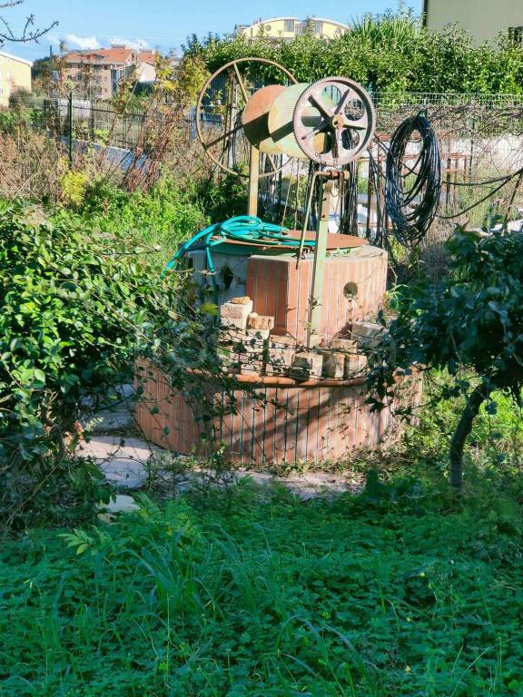 immagine annuncio 4 di 11