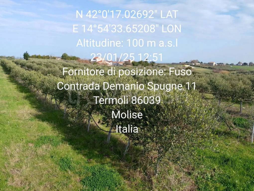 immagine annuncio 8 di 9