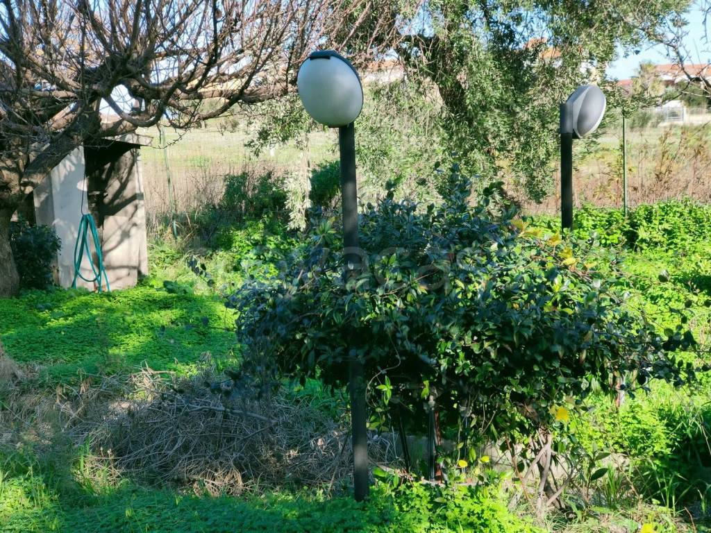 immagine annuncio 5 di 11