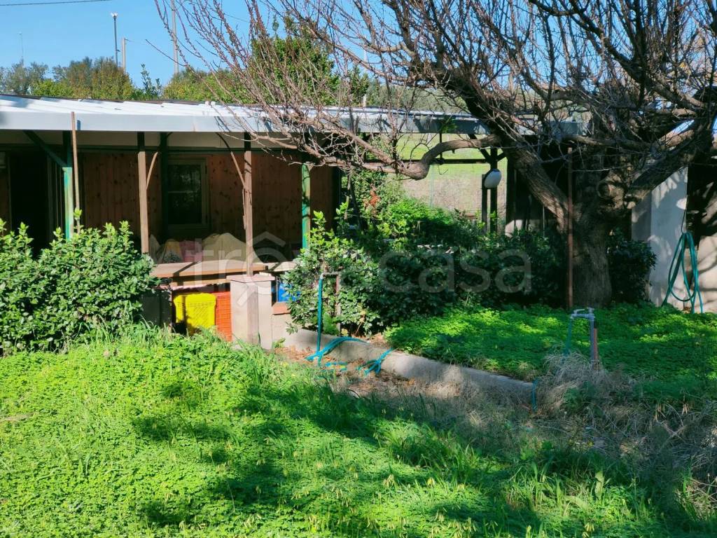 immagine annuncio 6 di 11