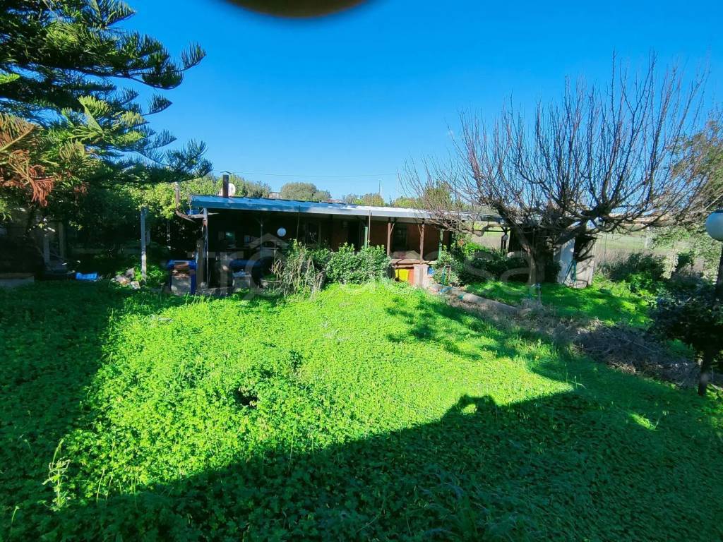 immagine annuncio 7 di 11