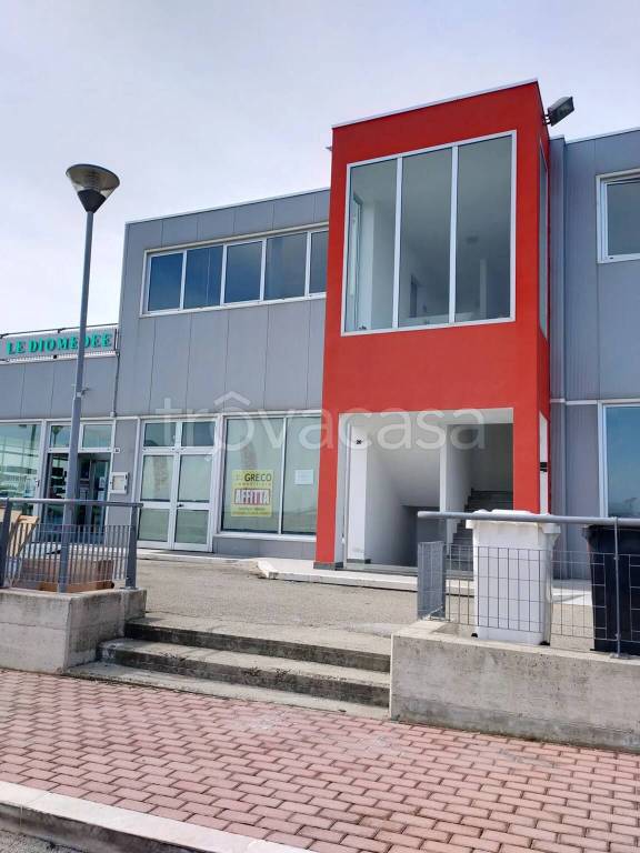 immagine annuncio 2 di 7