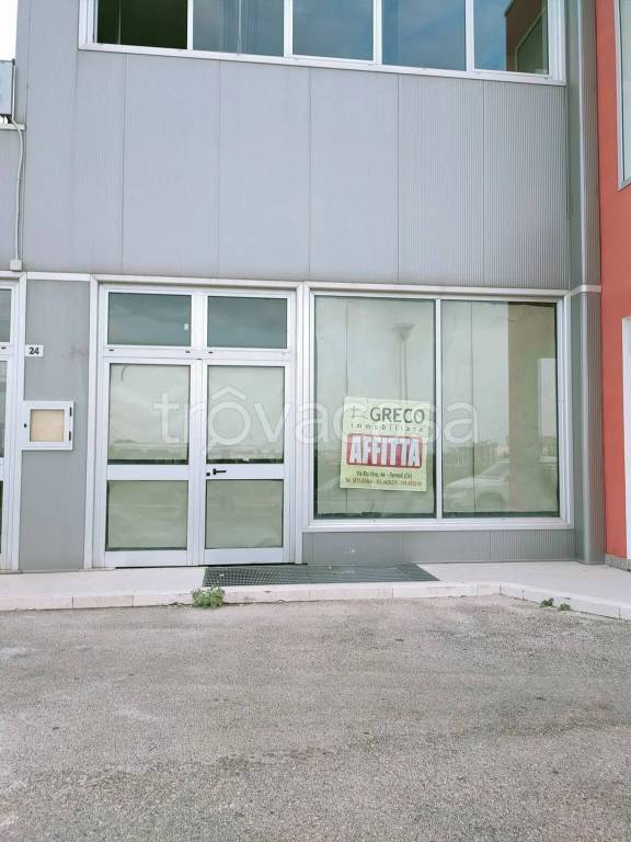 immagine annuncio 5 di 7