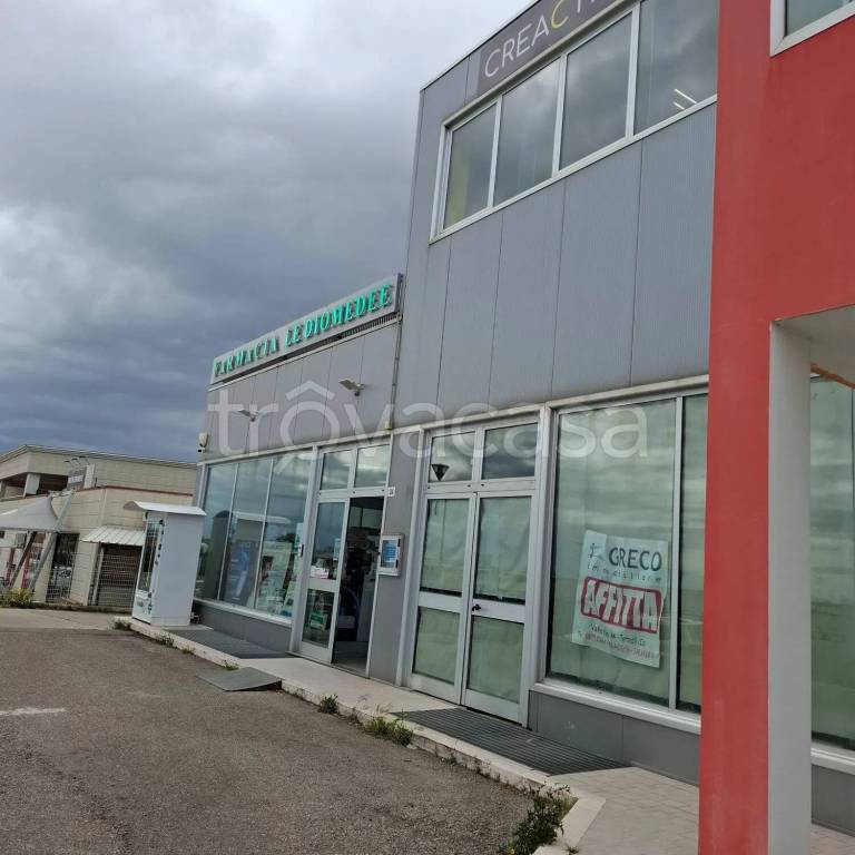 immagine annuncio 2 di 4