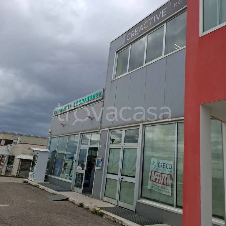 immagine annuncio 3 di 4