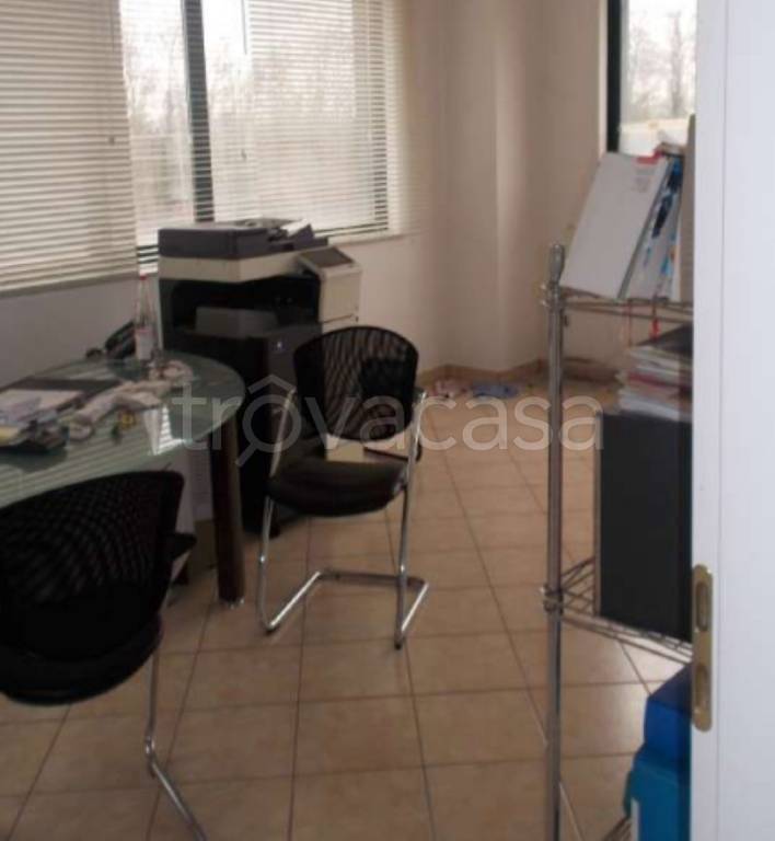 immagine annuncio 10 di 12