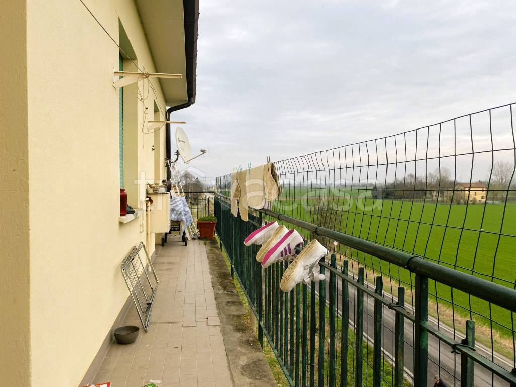 immagine annuncio 8 di 14