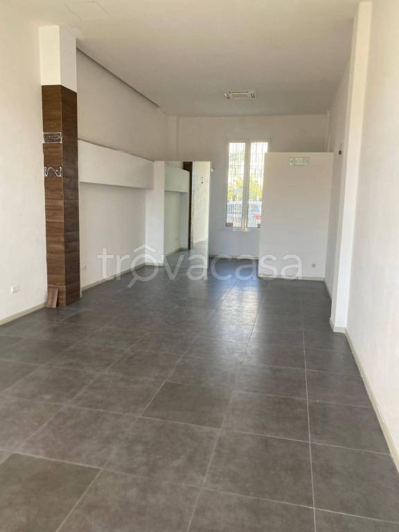 immagine annuncio 3 di 8