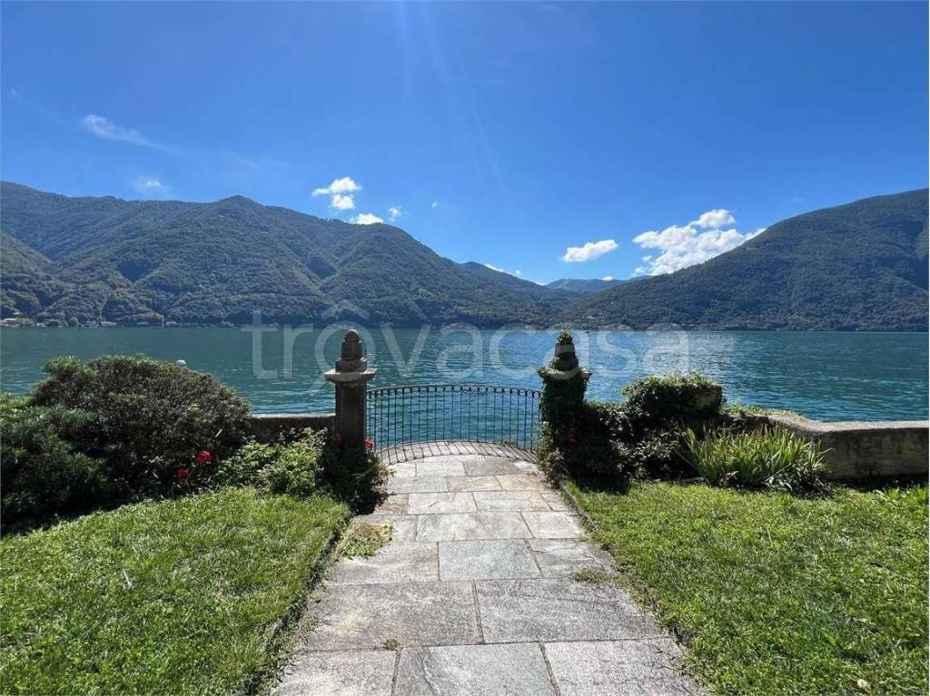 immagine annuncio 12 di 14