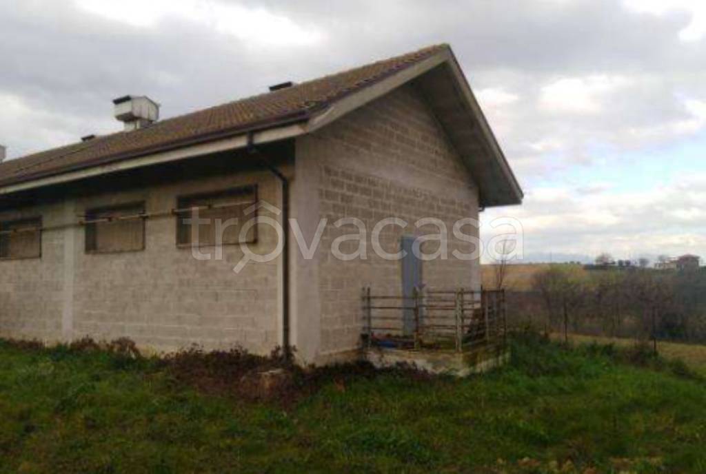 immagine annuncio 6 di 13