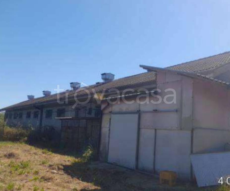 immagine annuncio 7 di 13