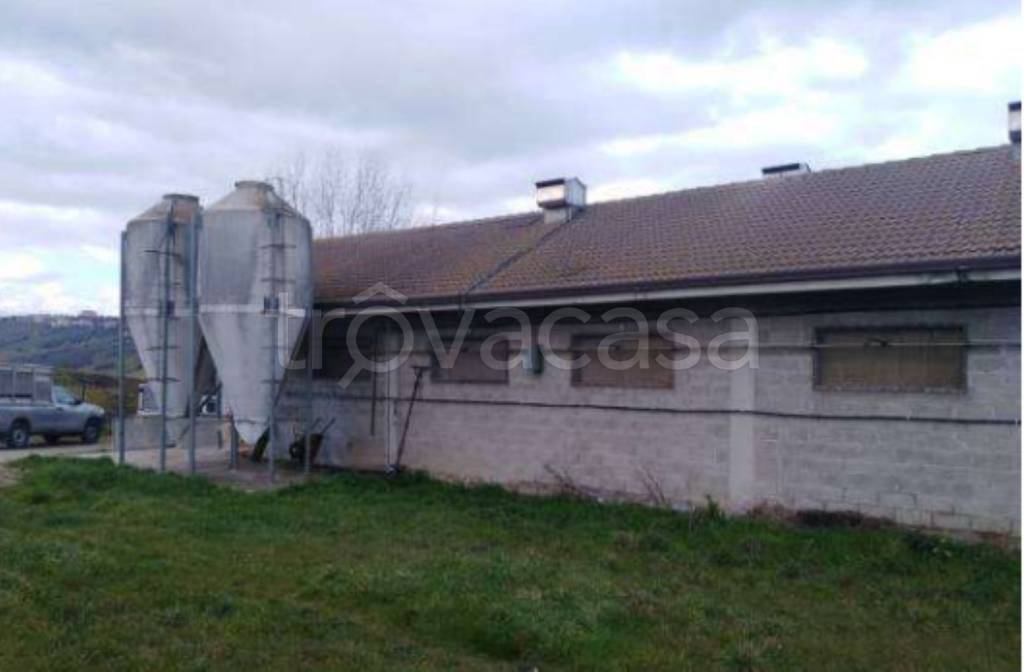 immagine annuncio 8 di 13