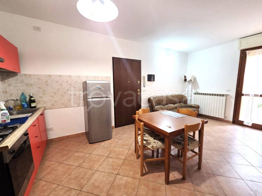 immagine annuncio 2 di 14