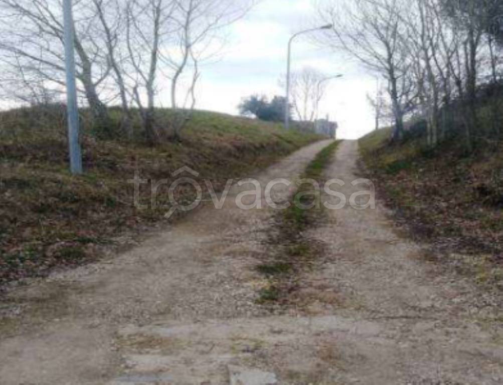 immagine annuncio 11 di 13