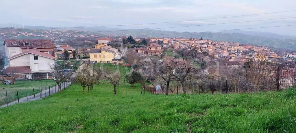 immagine annuncio 2 di 4