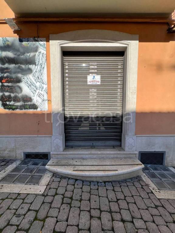 immagine annuncio 1 di 14