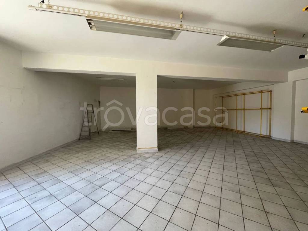 immagine annuncio 2 di 6