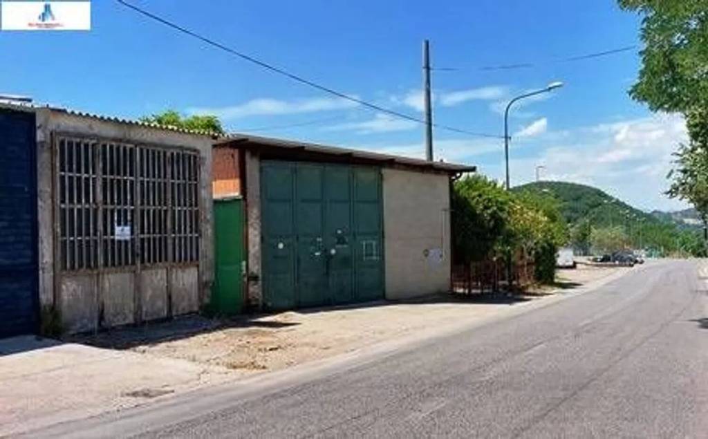 immagine annuncio 3 di 4