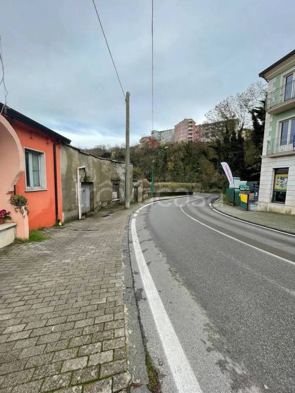 immagine annuncio 12 di 14