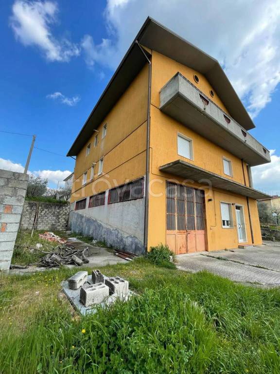 immagine annuncio 11 di 13