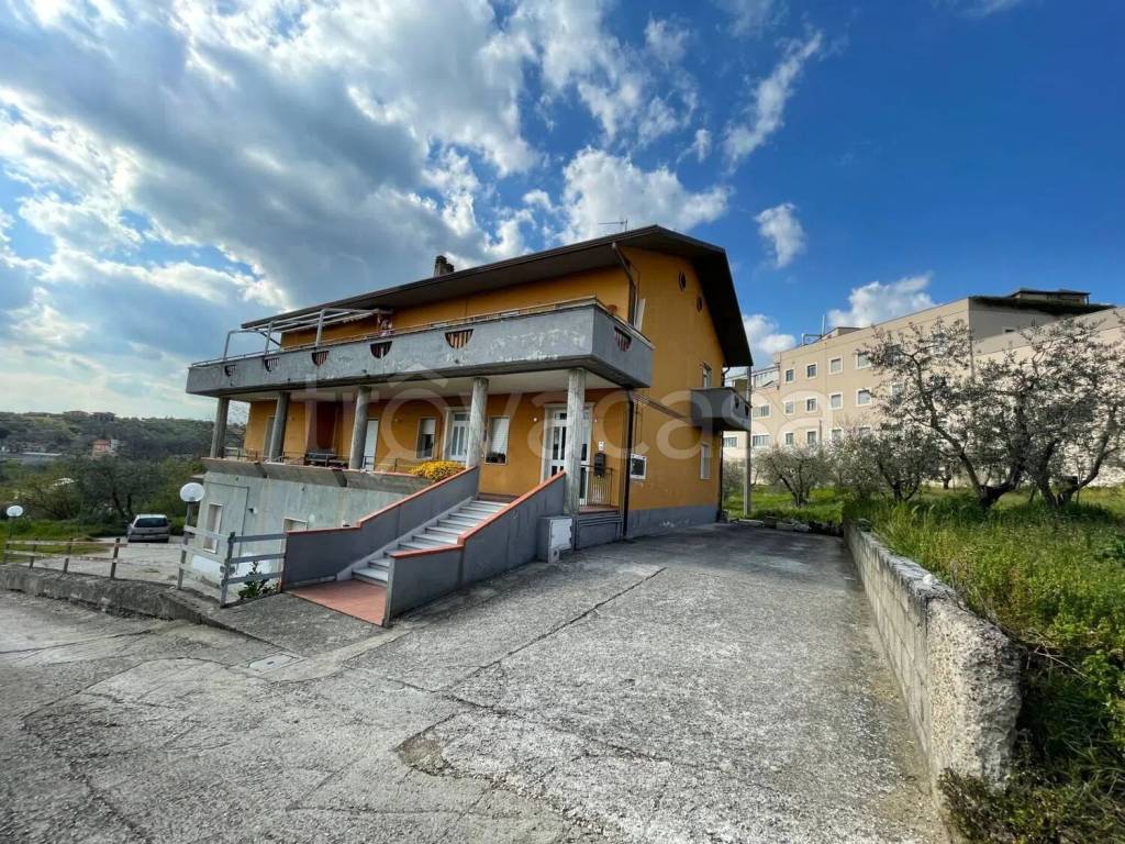 immagine annuncio 12 di 13