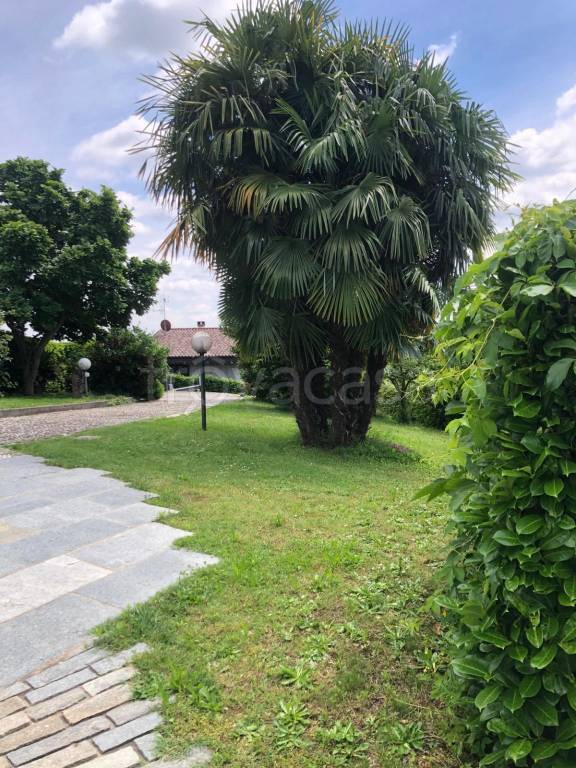 immagine annuncio 3 di 12