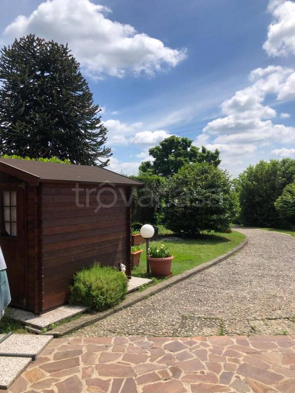 immagine annuncio 5 di 12