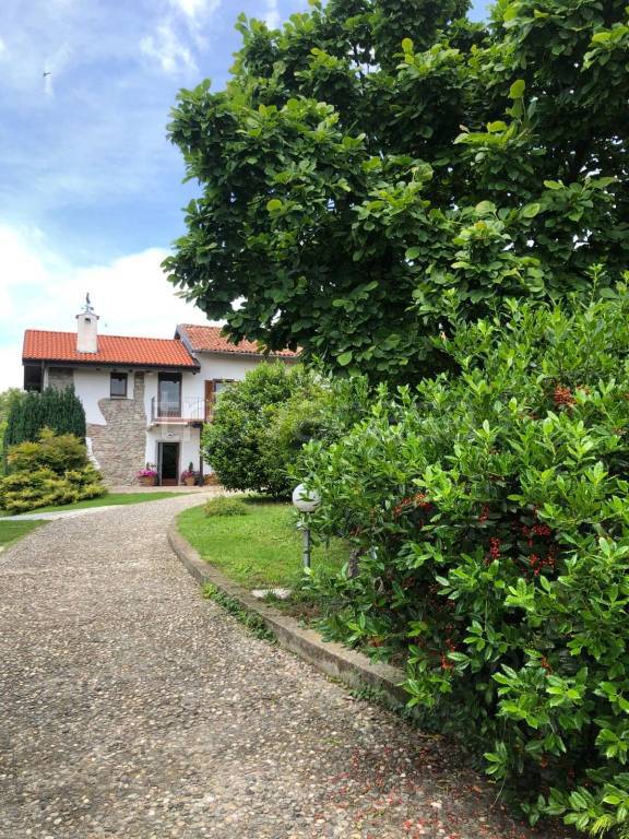 immagine annuncio 6 di 12