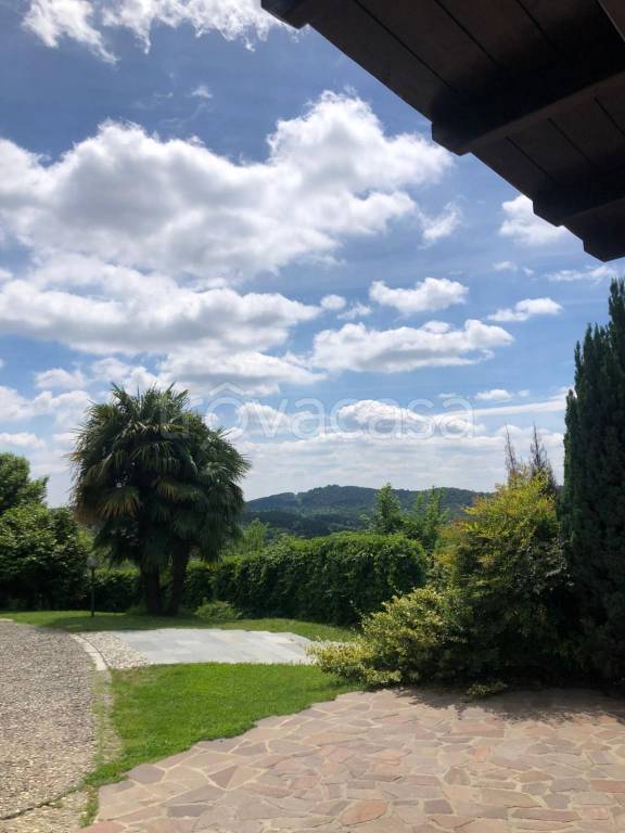 immagine annuncio 9 di 12