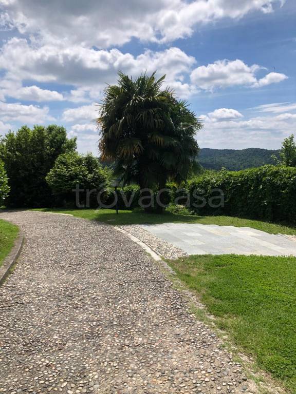 immagine annuncio 11 di 12