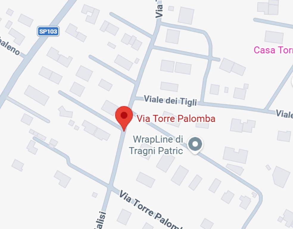 immagine annuncio 4 di 11