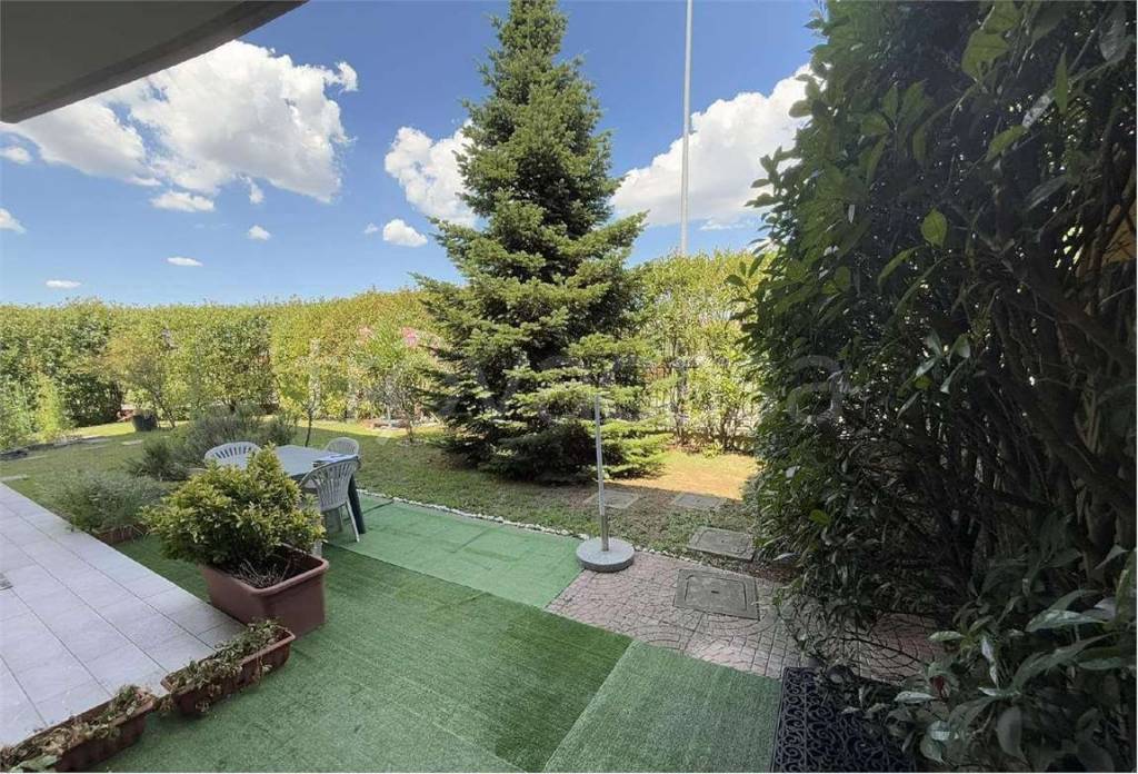 immagine annuncio 6 di 15