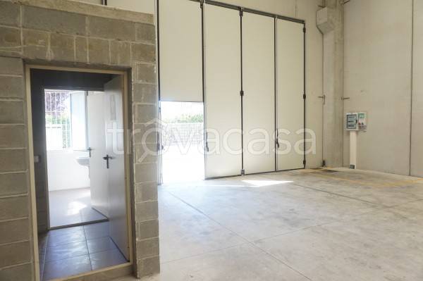 immagine annuncio 9 di 13