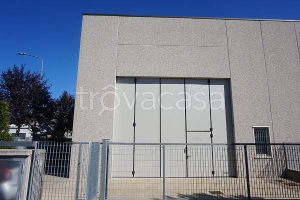 immagine annuncio 11 di 13