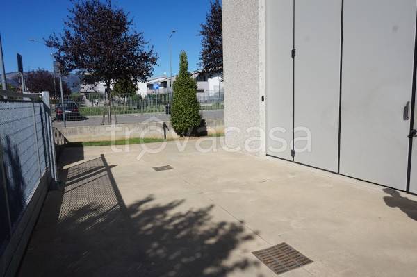 immagine annuncio 12 di 13