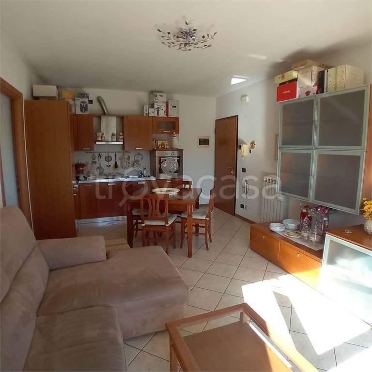 immagine annuncio 1 di 14