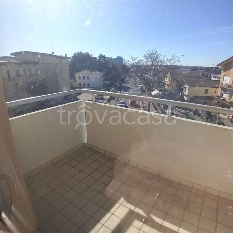 immagine annuncio 13 di 14