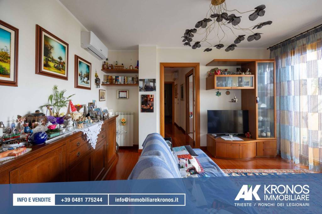 immagine annuncio 3 di 14