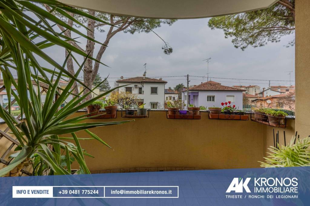 immagine annuncio 7 di 14